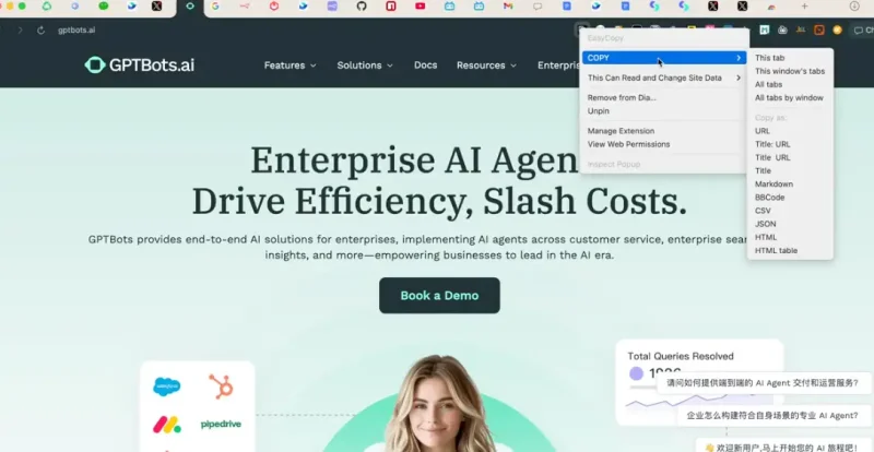 EasyCopy Chrome 扩展：一键复制网页信息，效率神器！-✨️免费用✅️