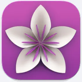 Vellum 3.8.6：告别电子书创作烦恼，轻松打造专业级作品！-🎉数字奇遇🎉