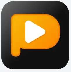 PPTube：你的全能无广告视频下载神器-🎉数字奇遇🎉