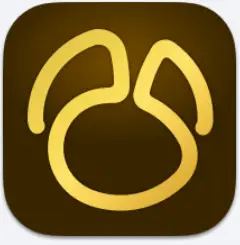 Navicat Premium 17.2.9：一站式数据库管理神器！-🎉数字奇遇🎉