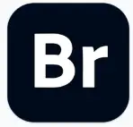 Adobe Bridge 14.1 中文破解版：你的多媒体文件管理神器！-🎉数字奇遇🎉